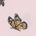 Delicate Violet Butterflies 