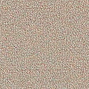 Dove Grey 