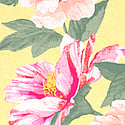 Yellow Floral 