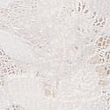 Coconut White 