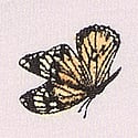 Delicate Violet Butterflies 