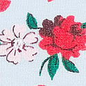 Light Blue Roses 