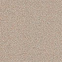 Dove Grey 