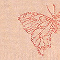 Pale Apricot Garden Butterfly 
