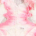 White & Pink Peonies 