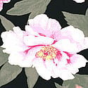 Black Floral 