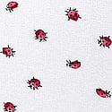 White Ladybug 