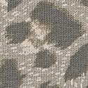 Dove Grey Leopard 
